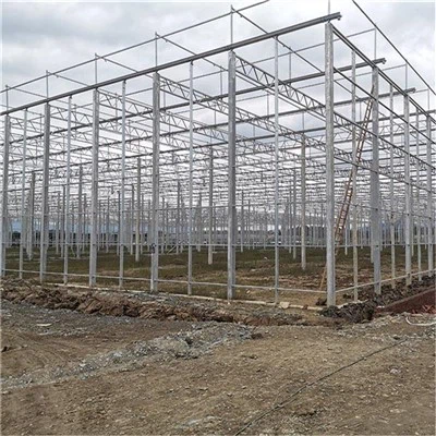 스틸 아연 도금 다중 범위 온실